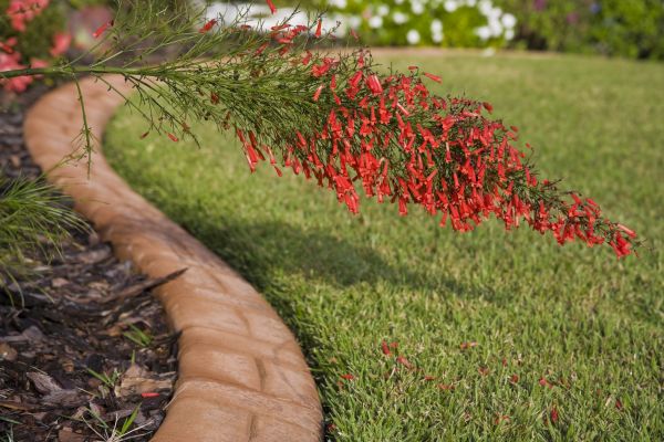 Brick Edging in Wheaton