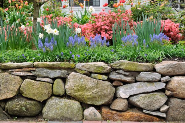 Stone Wall Hardscaping in Wheaton