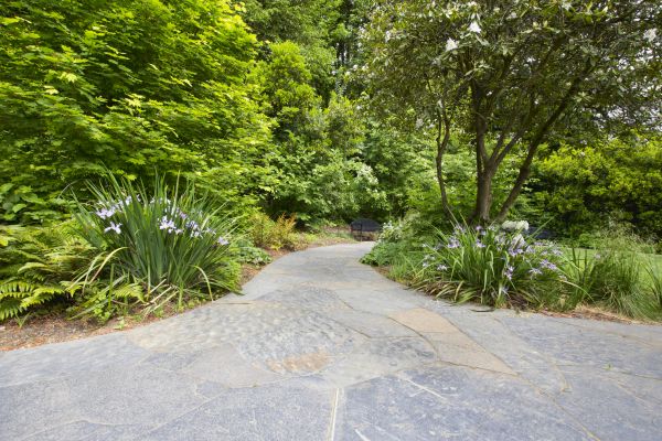 Stone Hardscape Service in Wheaton